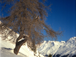 Lenzerheide